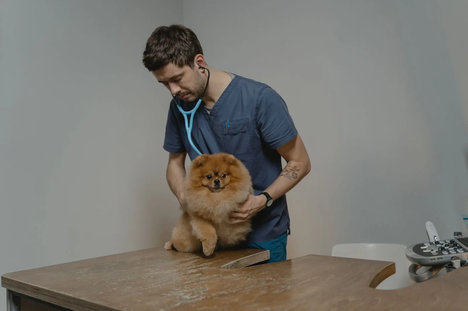 Annual Vet Visit Checklist