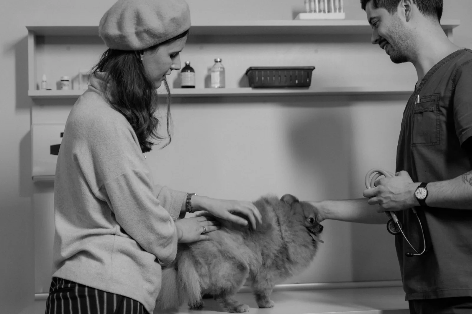 When to Go to the Emergency Vet: 8 Symptoms You Should Never Wait Out