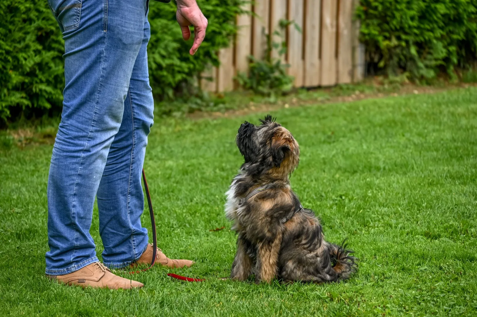 Teaching the First Five Commands That Matter