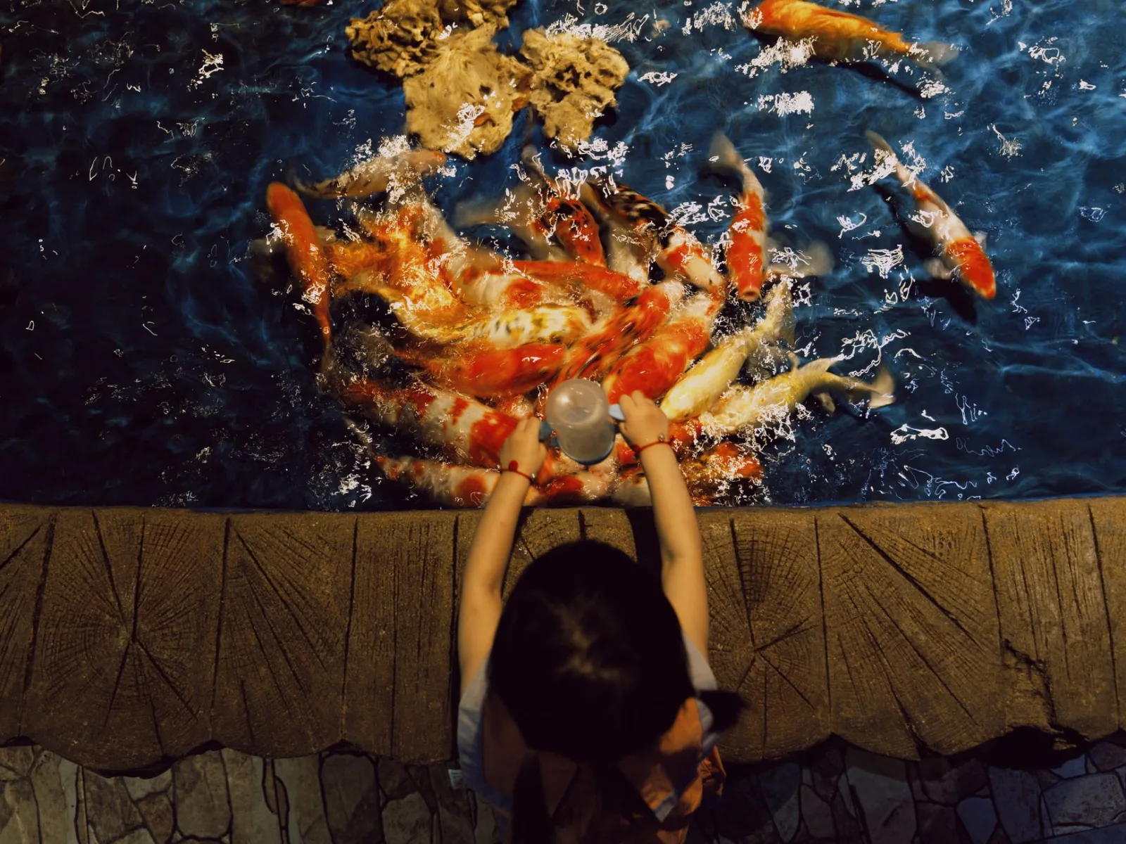 How to Avoid Overfeeding Your Fish