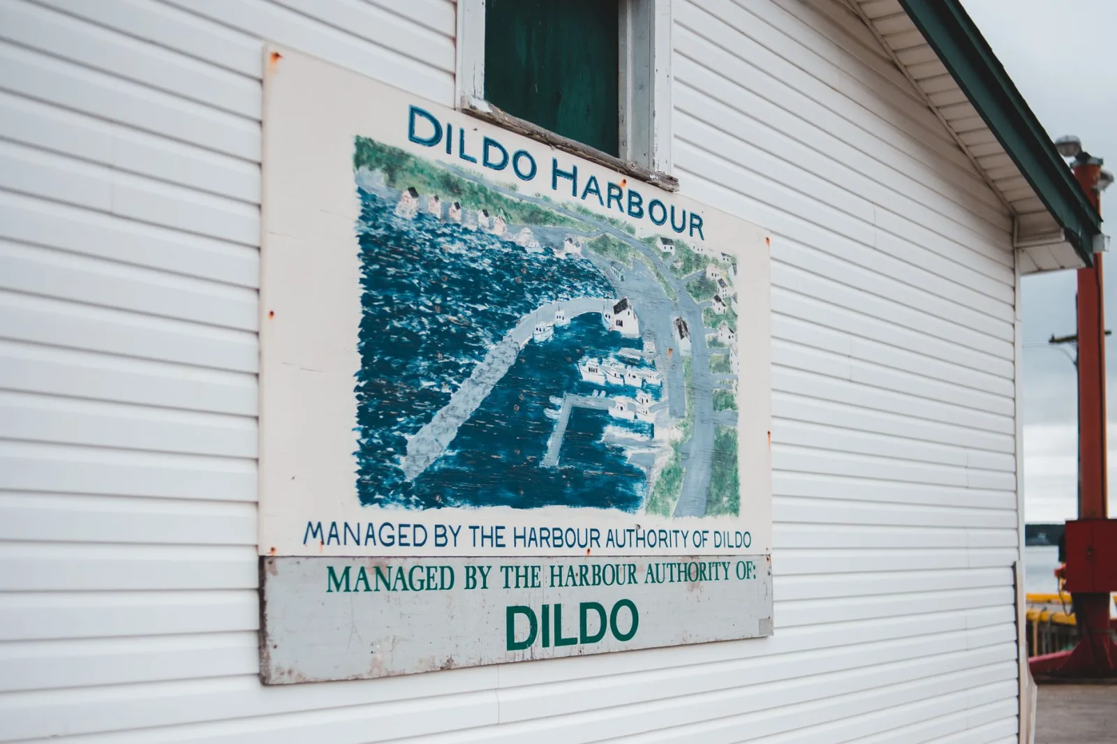 Newfoundland 5