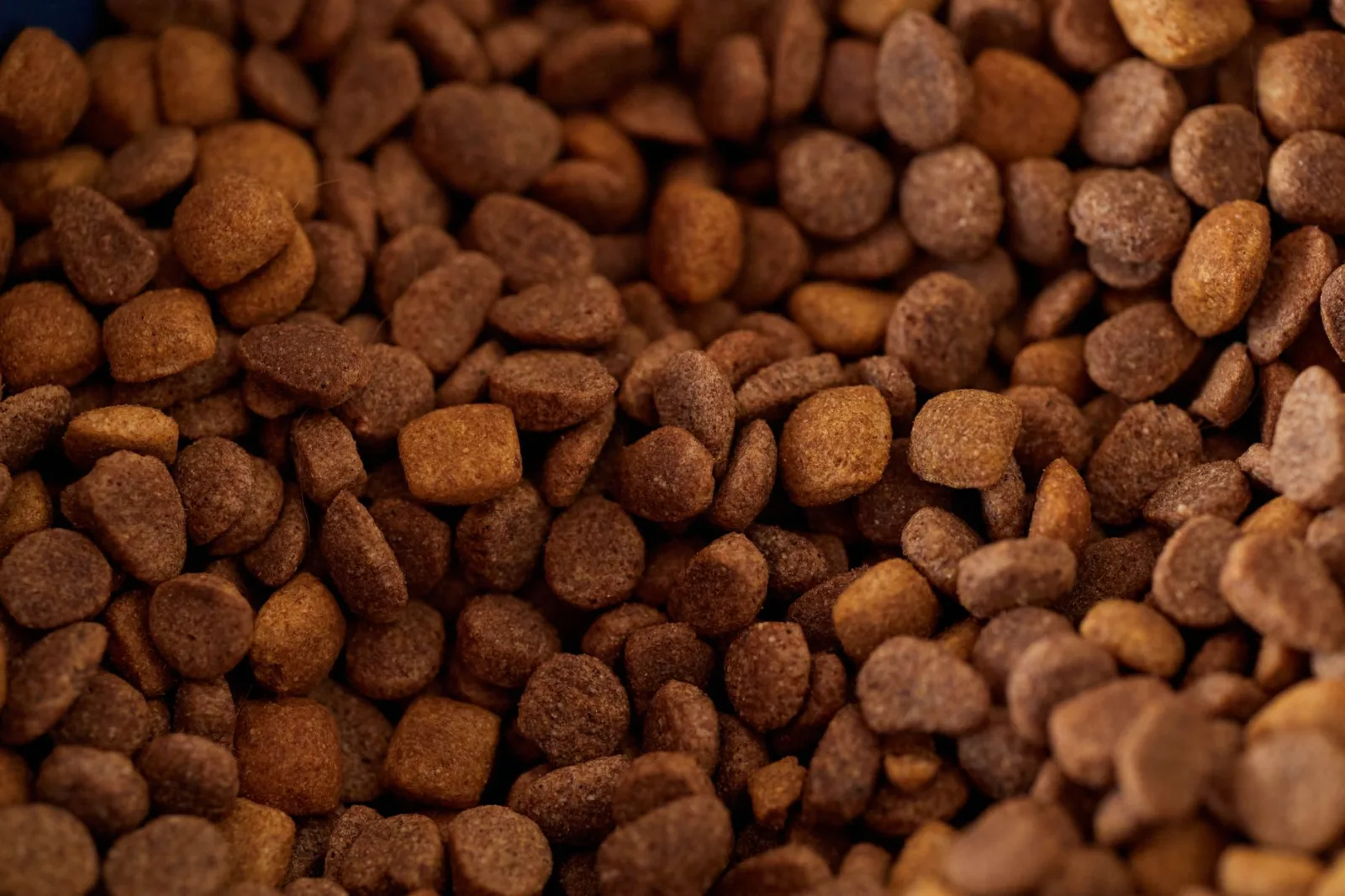 Reading a Pet Food Label Without Getting Fooled