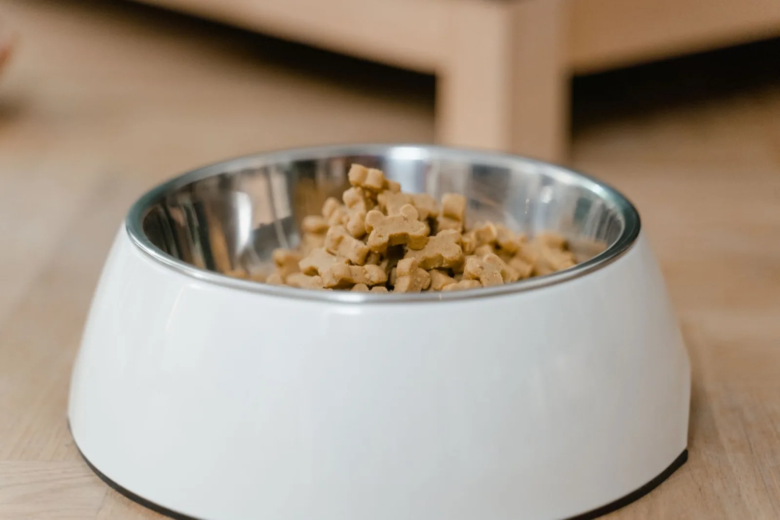 Feeding Schedules: How Often Is Often Enough?